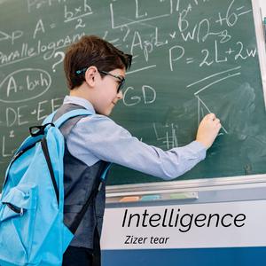Intelligence