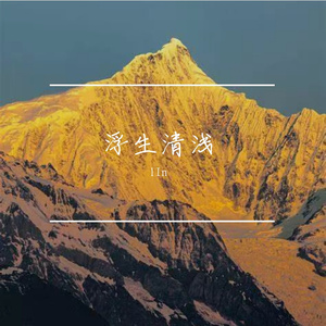 春光入流年