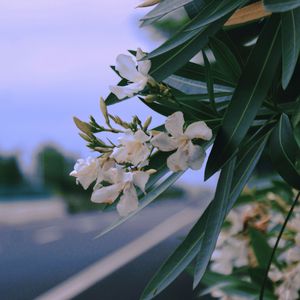 总有一天你会出现在我身边