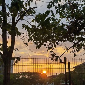 致青春（cover.王菲）