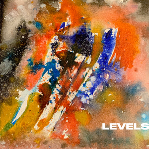 LEVELS