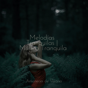 Envolturas de Ecos Etéreos