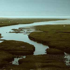 Fragment Of The Origin (Extended Version)