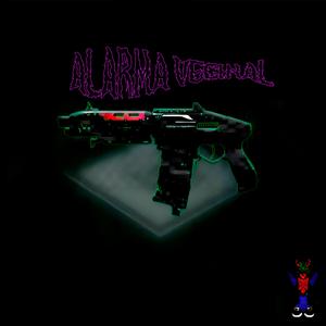 ALARMA VECINAL