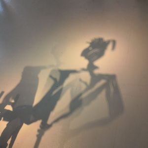 那条名叫卡奥斯的鳄鱼