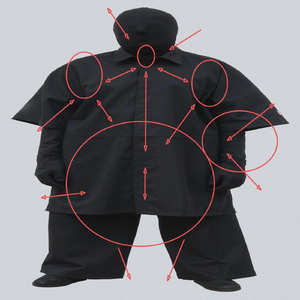 Backseat Queen (Boss Version)