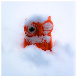 Everything's Okay (Until It's Not)