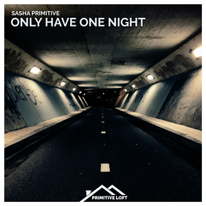 Only Have One Night (Extended Mix)