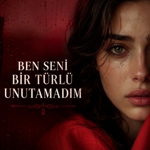 Ben Seni Bir Türlü Unutamadım