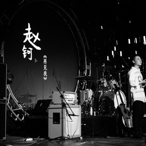 囚鸟（Cover 张宇）