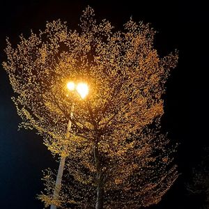 只为你而唱的歌