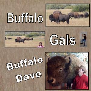Buffalo Gals (with Square Dance Heroes) (Instrumental)