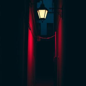 dawned by Hailey Williams 890