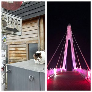 我把自己灌醉了