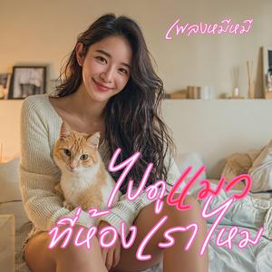 ไปดูแมวที่ห้องเราไหม (ลูกทุ่ง อินดี้)