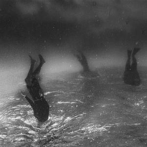 Dive
