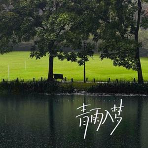 青雨入梦