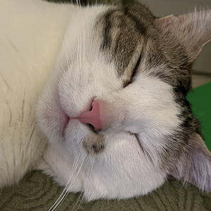 Pink Noise&Orange Soda