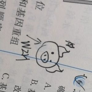 一些悲伤又美好的事