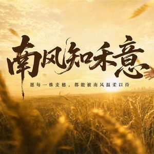 南风与禾