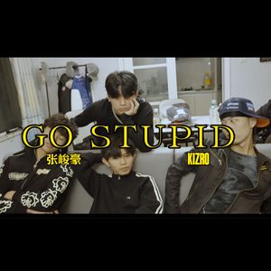 张奇峻兹豪萝（Go Stupid Remix）