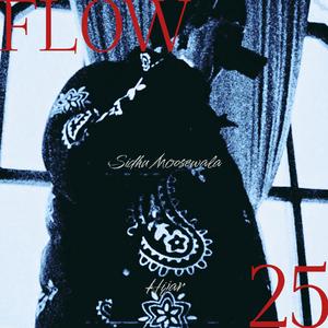 Flow 25 (Sidhu)