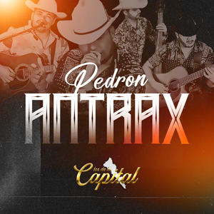 Pedrón Antrax