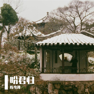 盼君归