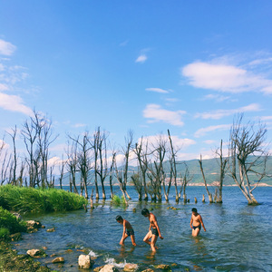 船长(Prod. By Zj-aIvSoN)