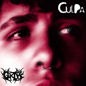 Células
