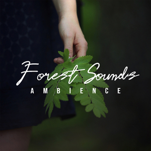 Forest Sounds