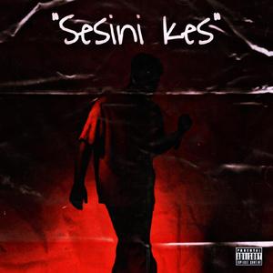 SESİNİ KES
