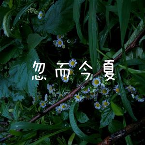 忽而今夏（cover汪苏泷）