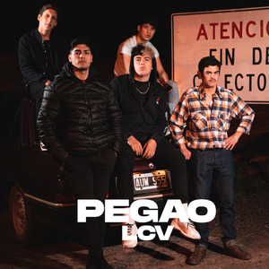 Pegao