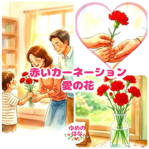 赤いカーネーション愛の花