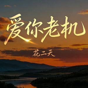 爱你老机
