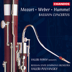 Bassoon Concerto in F Major, Op. 75, J. 127: I. Allegro ma non troppo