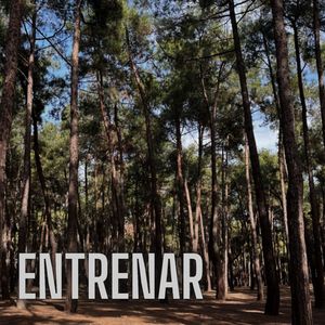 Entrenar