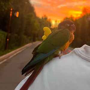 80《别闹，我的爱》~1