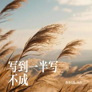 写到一半写不成