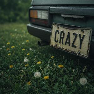Crazy