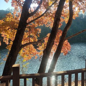 爱是人间寻常欢喜