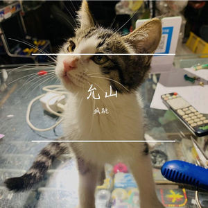 玫瑰