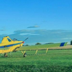 Accidentally In Love