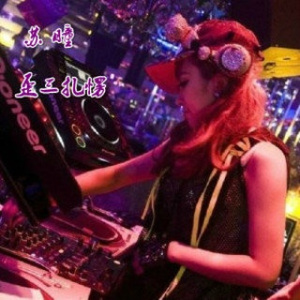 车载低音专用 (DJ版)