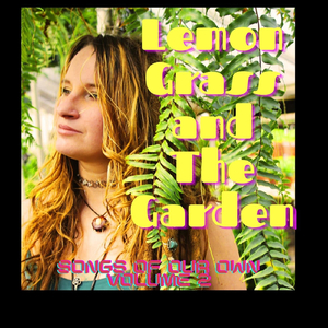 Man on the Corner (feat. Nolan Adams, Lee Owen, Josh Collins, Todd Copeland & Dylan Forester)