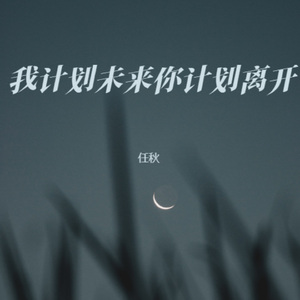 我计划未来你计划离开