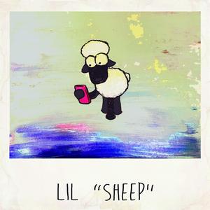 LiL sheep