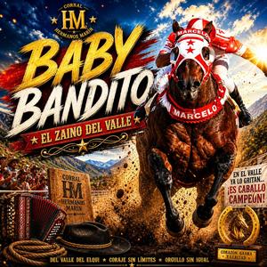 BABY BANDITO-EL ZAINO DEL VALLE