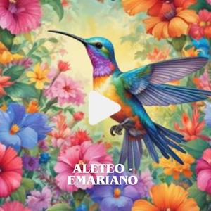 Aleteo